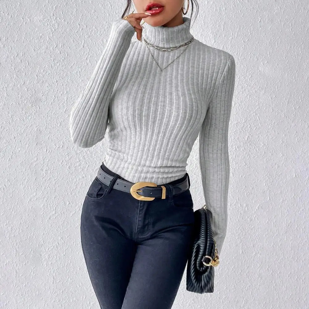 Knitting  Turtleneck
