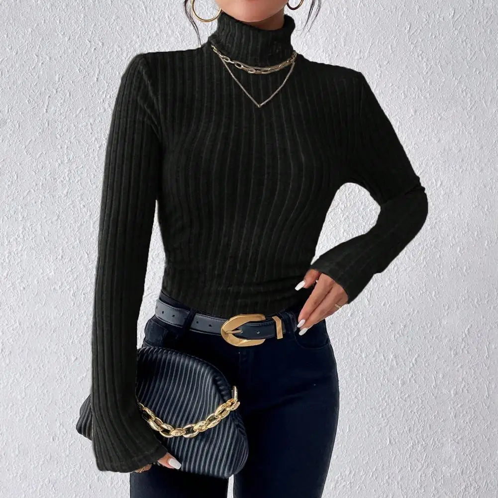 Knitting  Turtleneck